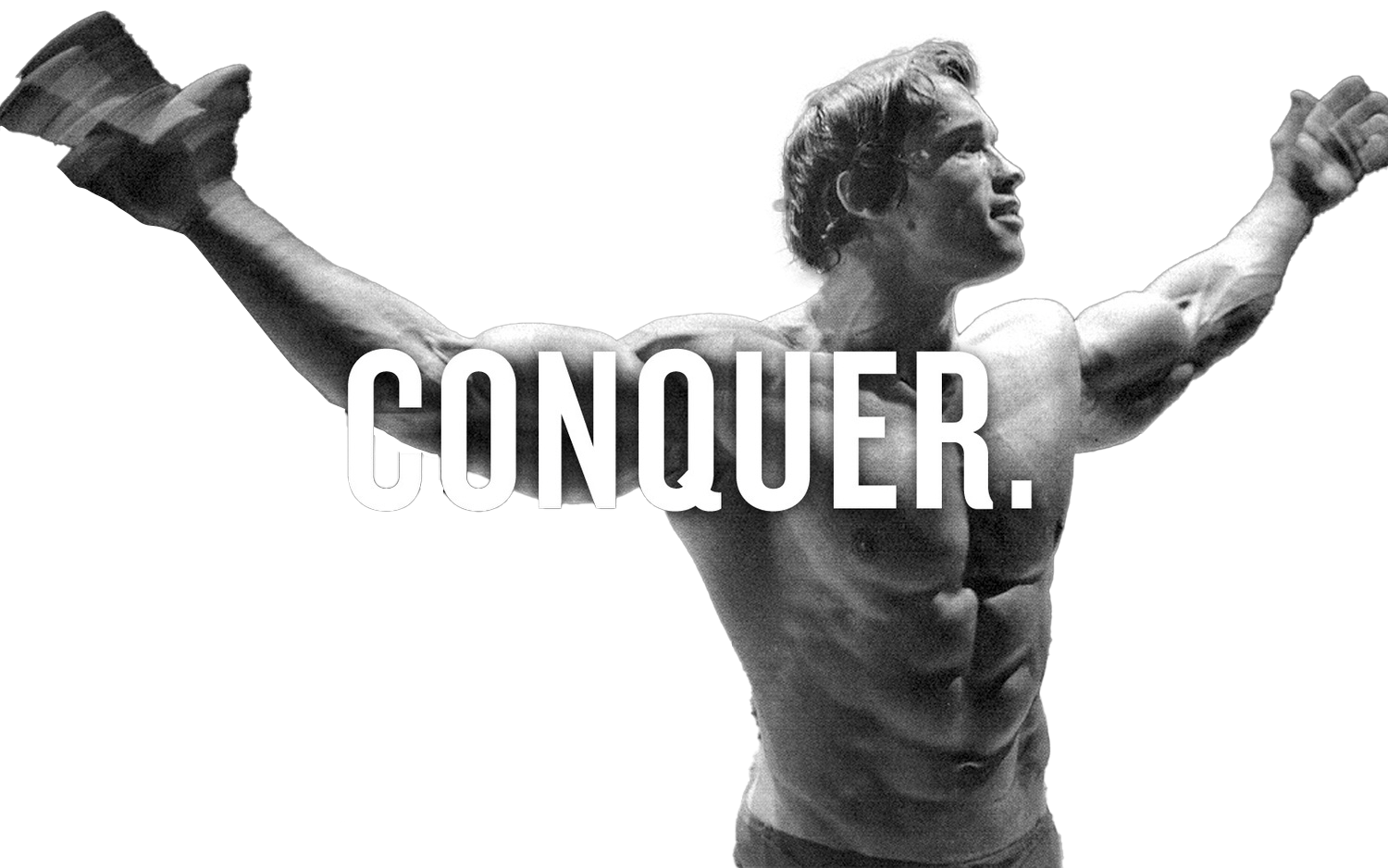CONQUER image 1
